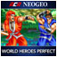 WORLD HEROES PERFECT